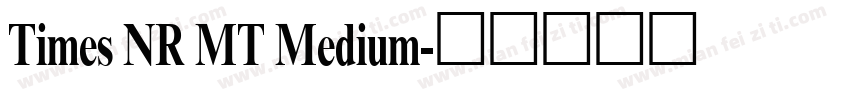 Times NR MT Medium字体转换